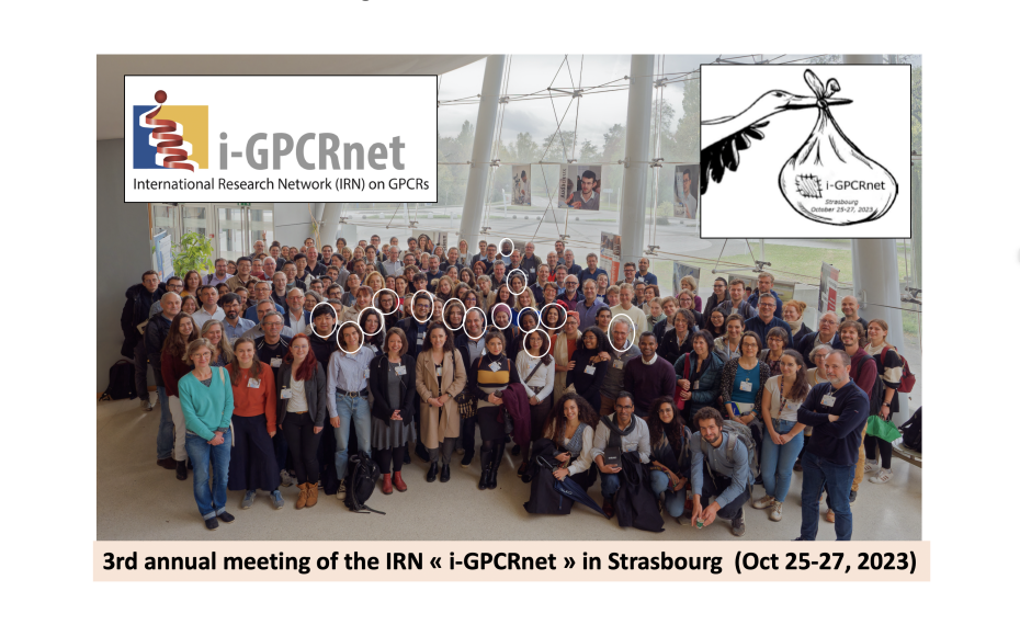 The Jockers team at the annual meeting of the IRN « i-GPCRnet » in Strasbourg, 2023