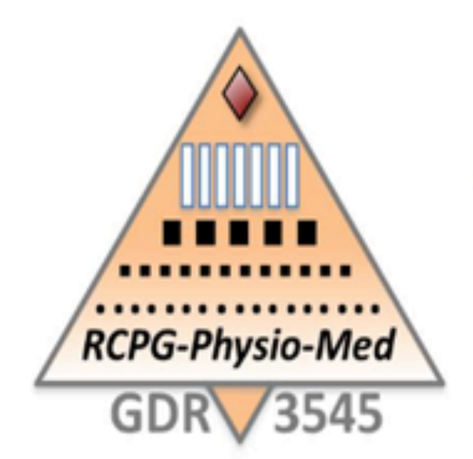 Logo CNRS GDR 3545_G Protein-coupled Receptors : from physiology to drugs (RCPG-Physio-Med)