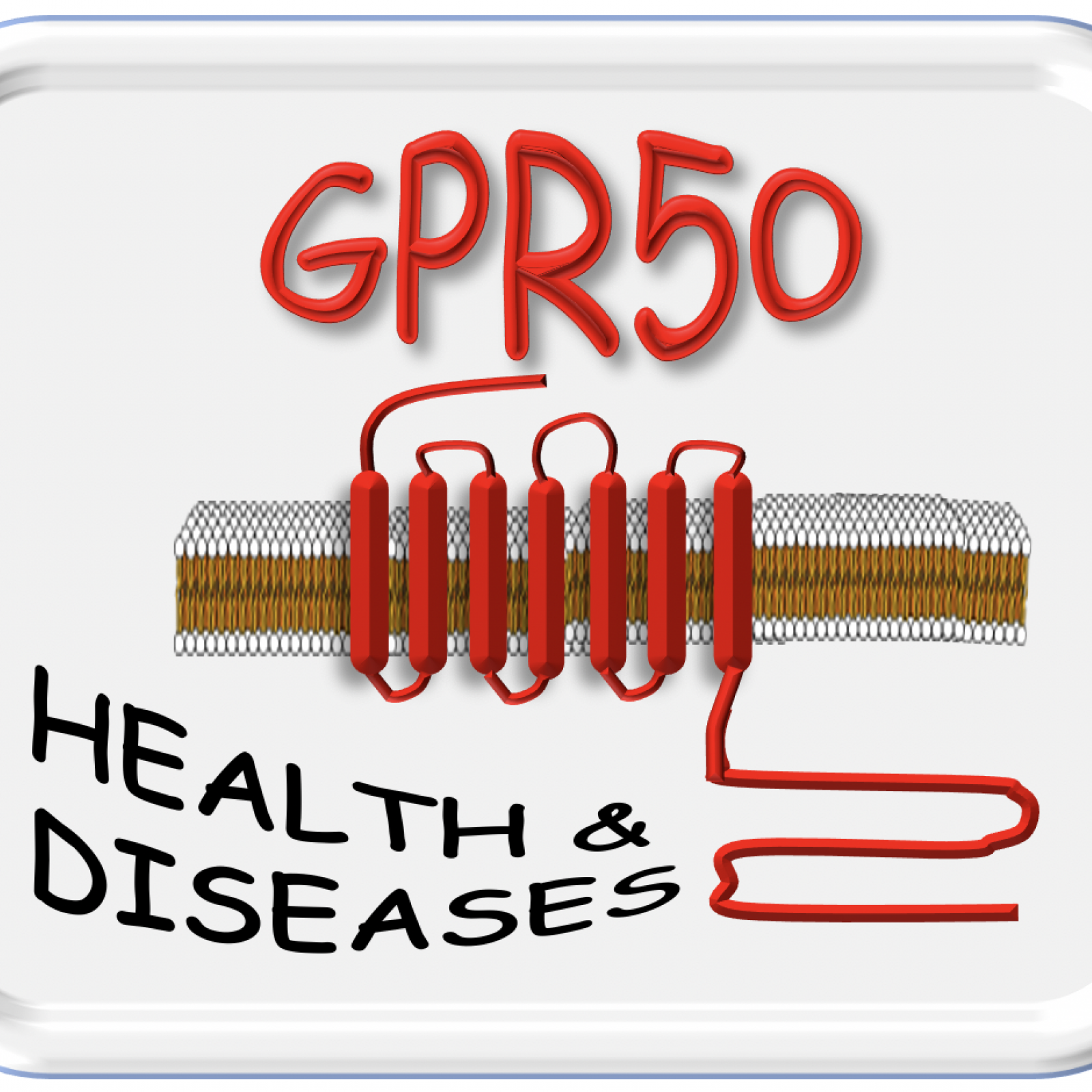 Image projet Décrypter la fonction du récepteur GPR50 en condition physiopathologie et pathologique